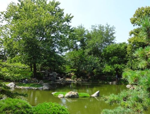 Apr. 26, 2025: Help clean up Jackson Park (Chicago)