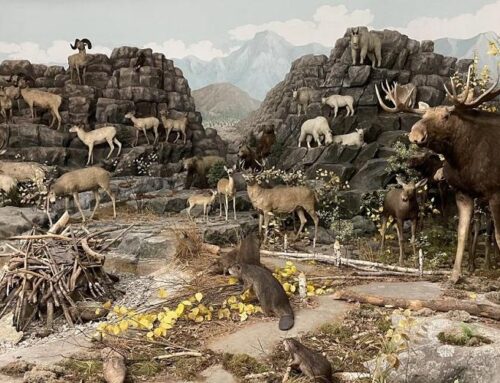 Dyche’s Panorama of North American Mammals at the 1893 World’s Fair