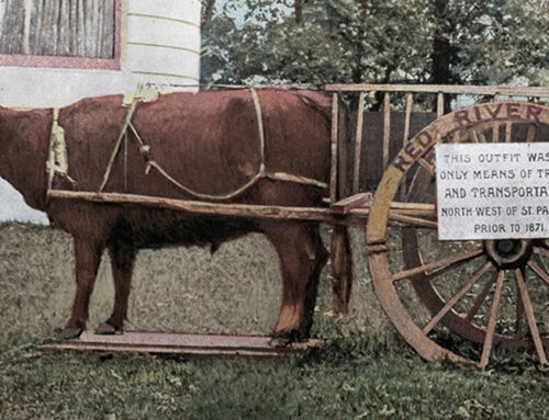182. Picturesque World’s Fair – A Frontier Ox-Cart